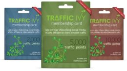 Traffic Ivy Review